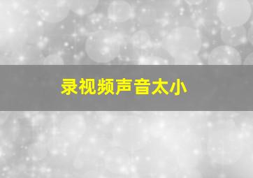 录视频声音太小