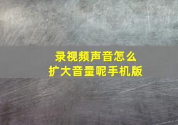 录视频声音怎么扩大音量呢手机版