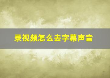 录视频怎么去字幕声音