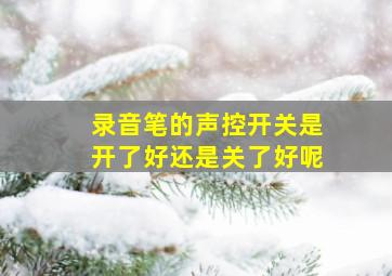 录音笔的声控开关是开了好还是关了好呢