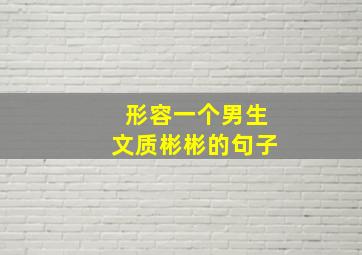 形容一个男生文质彬彬的句子