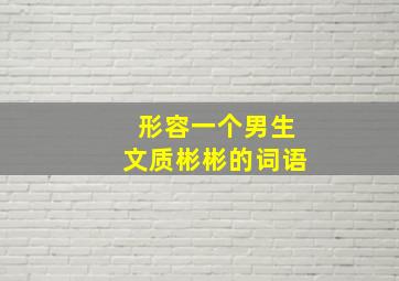 形容一个男生文质彬彬的词语