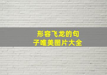 形容飞龙的句子唯美图片大全