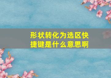 形状转化为选区快捷键是什么意思啊