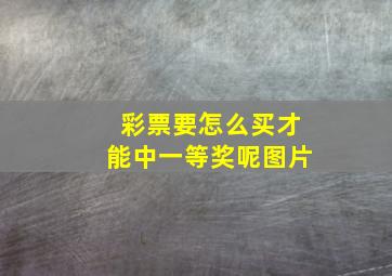 彩票要怎么买才能中一等奖呢图片