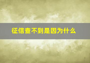 征信查不到是因为什么