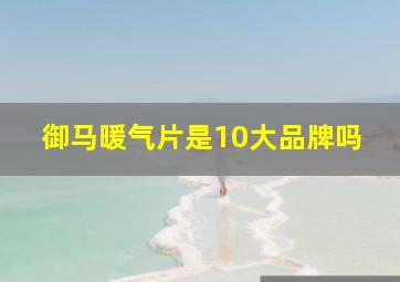 御马暖气片是10大品牌吗