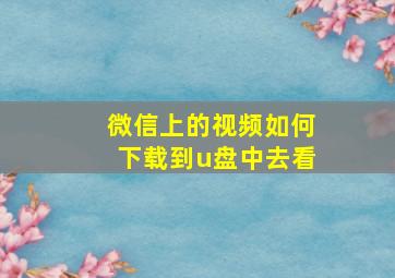 微信上的视频如何下载到u盘中去看