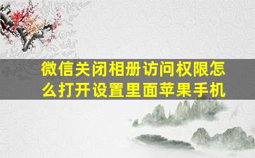 微信关闭相册访问权限怎么打开设置里面苹果手机