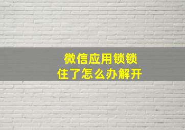 微信应用锁锁住了怎么办解开