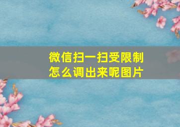 微信扫一扫受限制怎么调出来呢图片