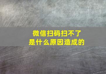 微信扫码扫不了是什么原因造成的