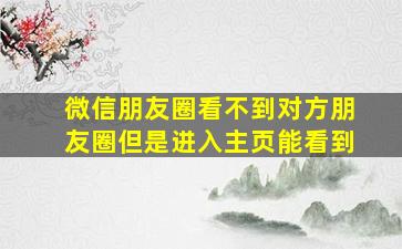 微信朋友圈看不到对方朋友圈但是进入主页能看到