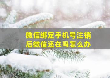 微信绑定手机号注销后微信还在吗怎么办