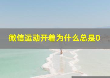 微信运动开着为什么总是0