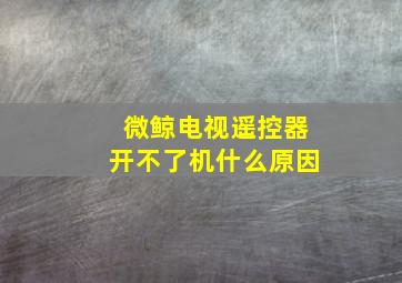 微鲸电视遥控器开不了机什么原因