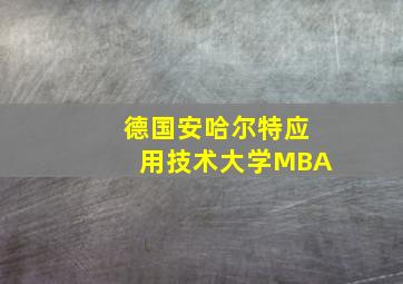 德国安哈尔特应用技术大学MBA