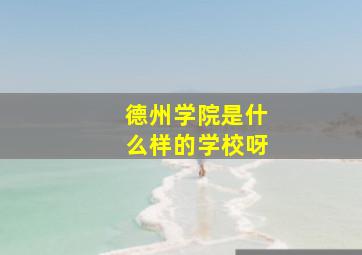 德州学院是什么样的学校呀