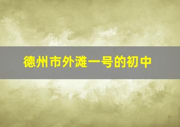 德州市外滩一号的初中