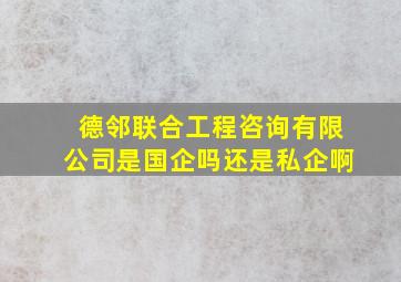 德邻联合工程咨询有限公司是国企吗还是私企啊