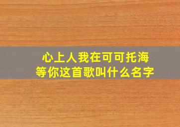 心上人我在可可托海等你这首歌叫什么名字