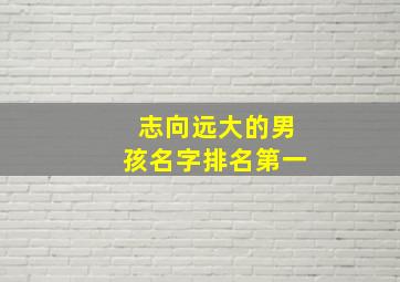 志向远大的男孩名字排名第一