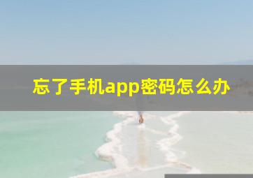 忘了手机app密码怎么办