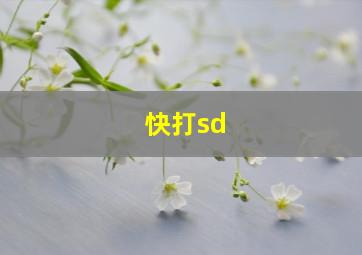 快打sd