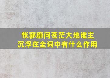 怅寥廓问苍茫大地谁主沉浮在全词中有什么作用