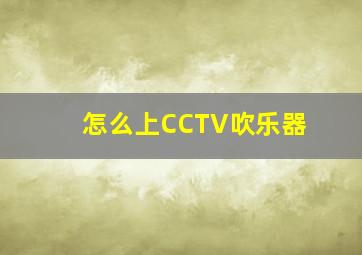 怎么上CCTV吹乐器