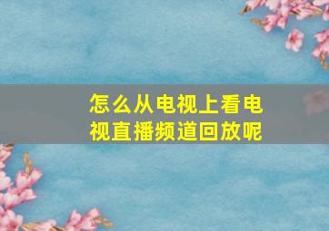 怎么从电视上看电视直播频道回放呢