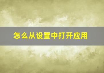 怎么从设置中打开应用