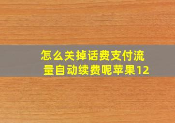 怎么关掉话费支付流量自动续费呢苹果12