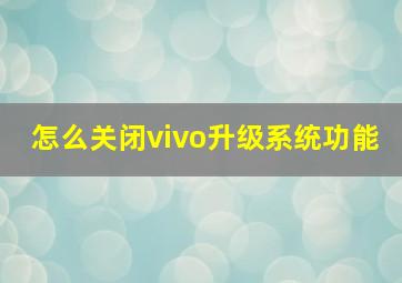 怎么关闭vivo升级系统功能