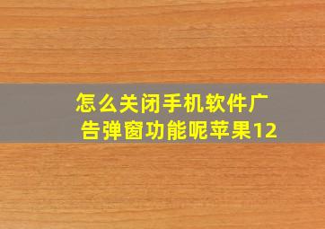 怎么关闭手机软件广告弹窗功能呢苹果12