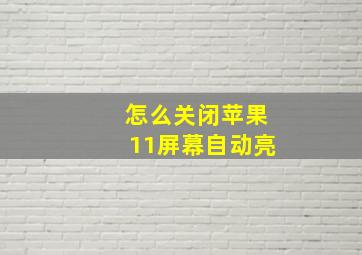 怎么关闭苹果11屏幕自动亮