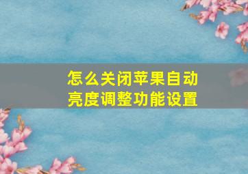 怎么关闭苹果自动亮度调整功能设置