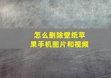 怎么删除壁纸苹果手机图片和视频