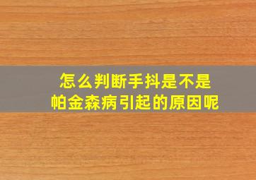 怎么判断手抖是不是帕金森病引起的原因呢