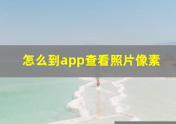 怎么到app查看照片像素