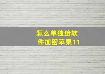 怎么单独给软件加密苹果11