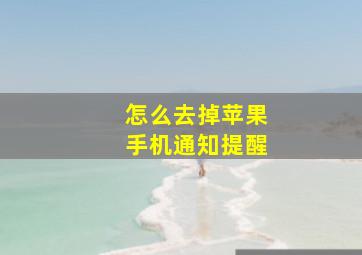 怎么去掉苹果手机通知提醒