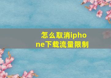 怎么取消iphone下载流量限制