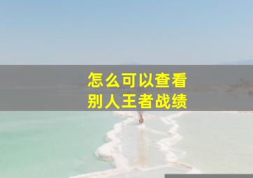 怎么可以查看别人王者战绩