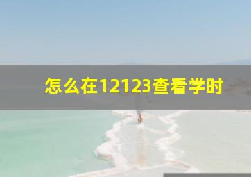 怎么在12123查看学时