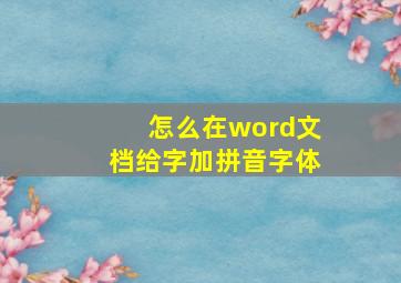 怎么在word文档给字加拼音字体