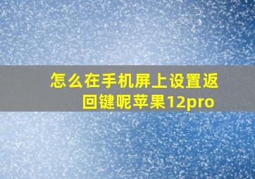 怎么在手机屏上设置返回键呢苹果12pro