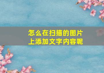 怎么在扫描的图片上添加文字内容呢