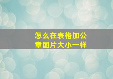 怎么在表格加公章图片大小一样