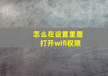 怎么在设置里面打开wifi权限